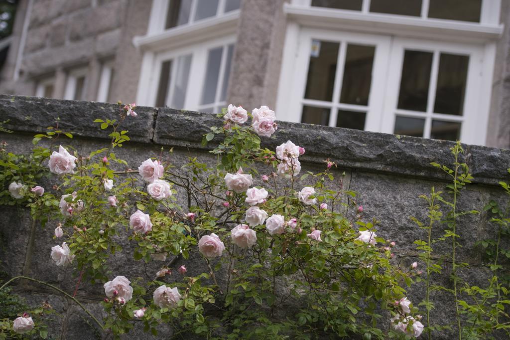 Lys-Na-Greyne Bed & Breakfast Aboyne Eksteriør bilde